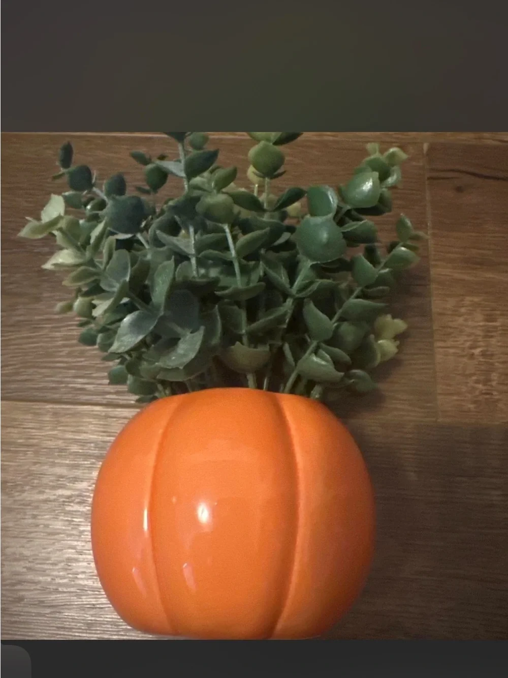 N/A charming orange